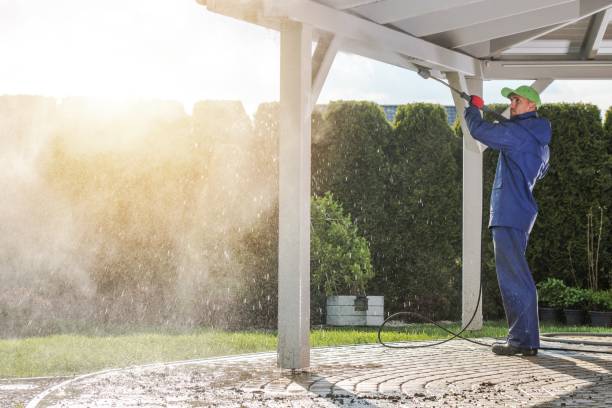 Best Building Exterior Washing  in Beverly Hills, FL